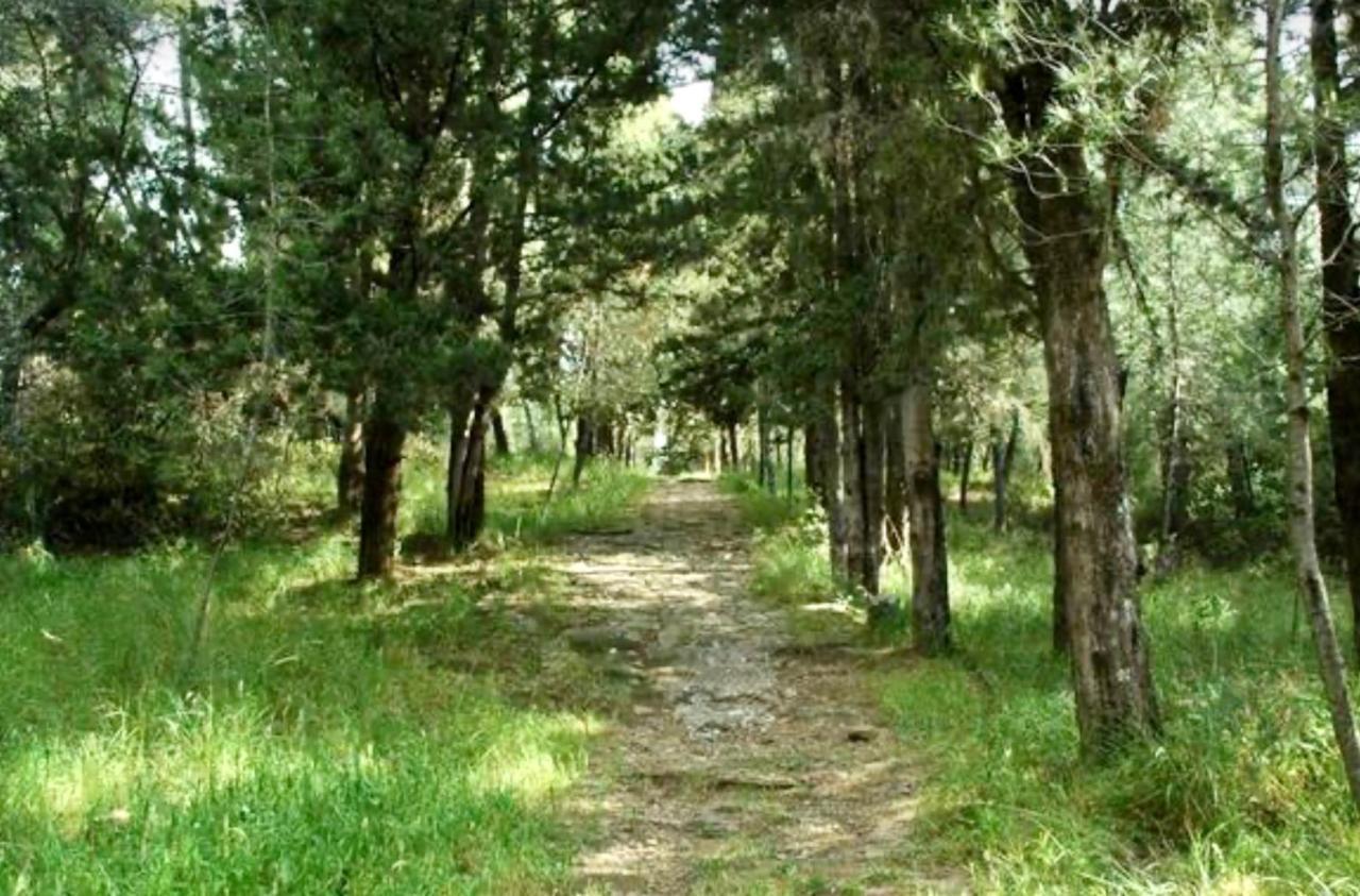 Villa Oikiastudios2 *